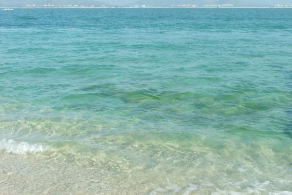 闹闹女巫 明明很能赚钱但偏偏舍不得花的铁公鸡星座