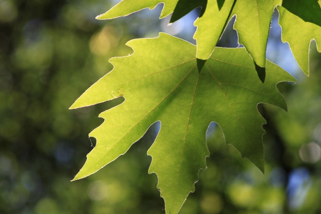 公司名字大吉利聚财的公司名 吉祥顺利的公司名字