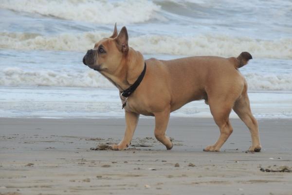 Alex 本周重要星象（1.9—1.15）