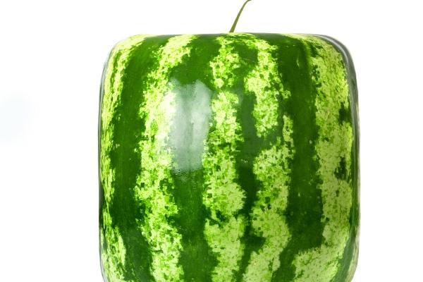 2023年2月1日搬家好不好 此日搬家可否兰舟载墨醉仙洲