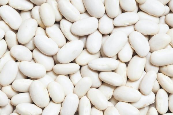 聚财公司名称大全简单大气 有创意的公司名字