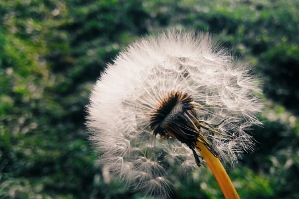 闹闹女巫 12星座今日运势0110