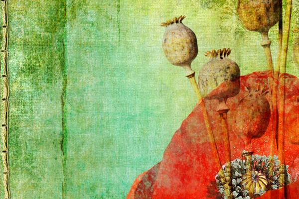 小乖麻 本周运势提醒（2023/1/9—1/16）