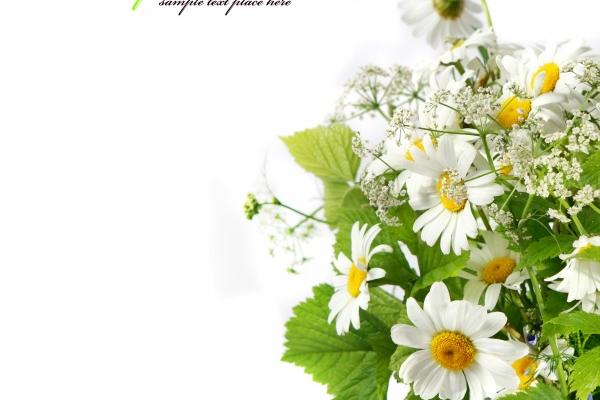 天蝎座与水瓶座谁可怕 为什么说天蝎爱了水瓶千年