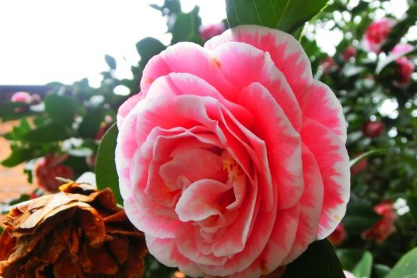 聚财吉利的公司名 公司起名字大全免费