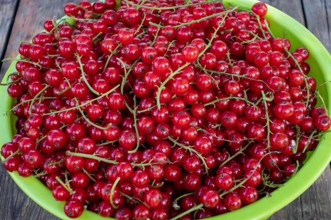 2023年癸卯年农历正月二十六出生的男孩命运怎样,五行缺什么