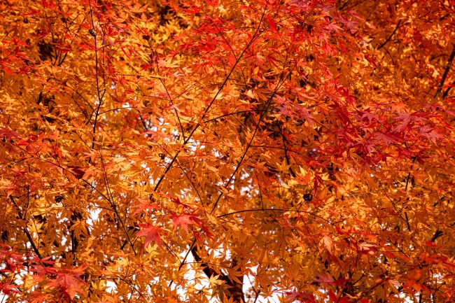 好听高雅又聚财的公司名字 三个字的公司名字