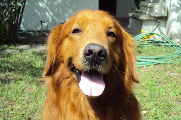 狂月天时 12星座一周简运2023/01/09-01/15