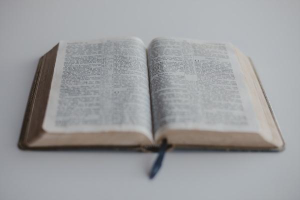 艾菲尔 大吉大利！未来45天【好事降临】星座大点名