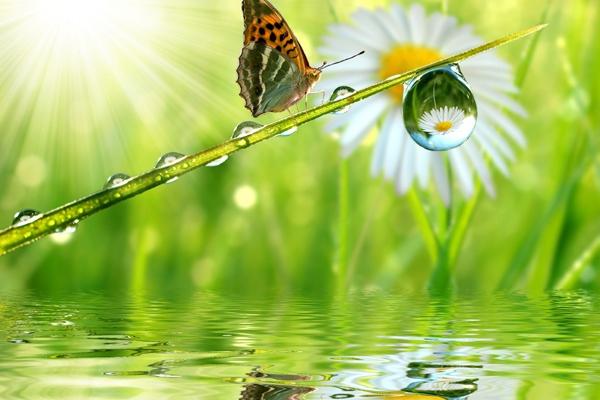 2023年大年初三开门吉时查询 今天要做什么