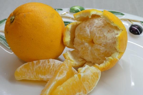 2023年双鱼座2月婚姻运分析 对感情不够关注