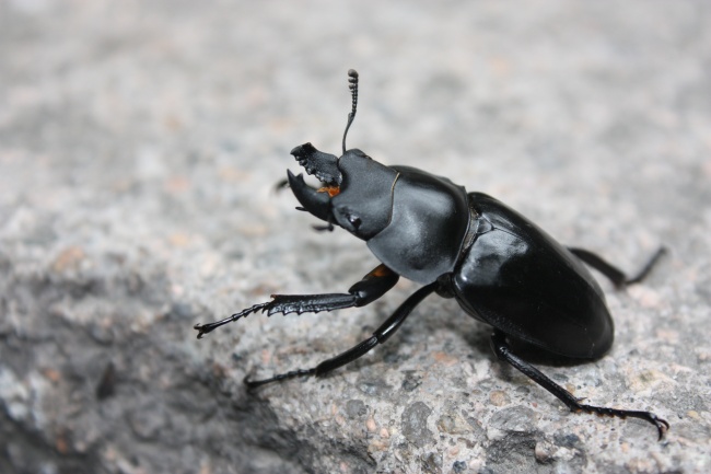 2023注册公司取名 聚财大气的公司名字