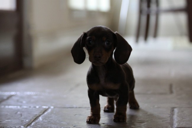 2023年大年初九开门吉时查询 今天有什么忌讳