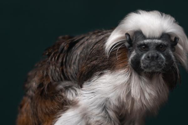 怎样取公司的名字更合适 高端大气上档次的公司名字