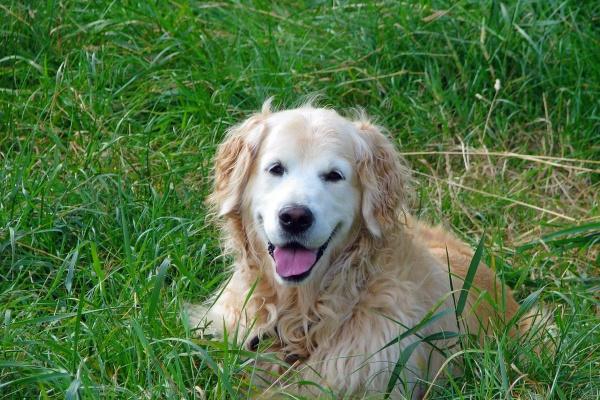 2023年正月能搬家吗 正月为什么不能搬家