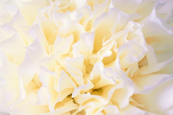 下个月桃花转运姻缘随身!3星座巧遇意中人,有望摆脱单身