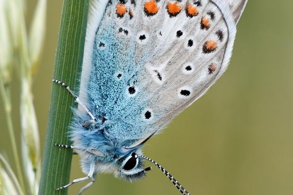 公司该如何取名字 公司名称起什么好