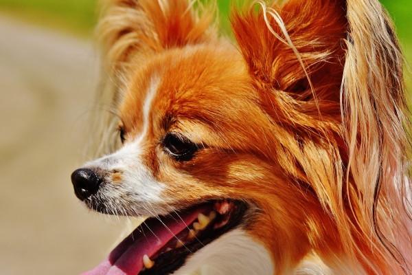 摩羯女和射手男合适吗 摩羯座最合不来的星座