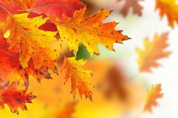 2023年摩羯座婚姻运2月运程详解 产生矛盾