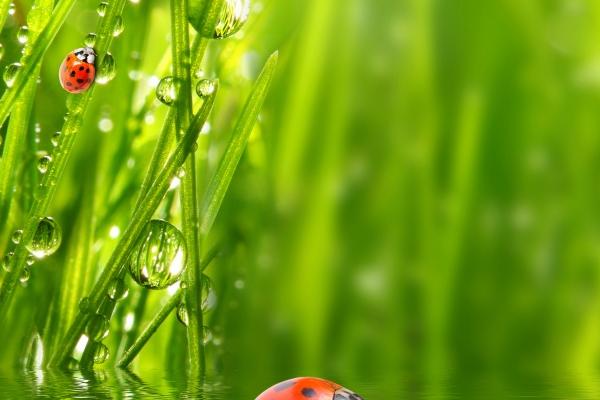 他们难有真正的快乐!盘点因为能力强而被敌视的3星座