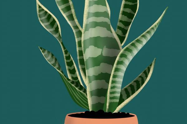 2023年正月初五搬家吉日 是否竹苞松茂业乐居安