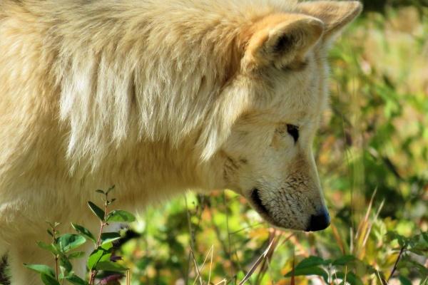 2023年大年三十是几九第几天 除夕的风俗