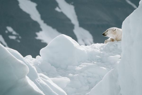2023年2月17日结婚日子如何 今日婚嫁可否双璧联辉夸美眷