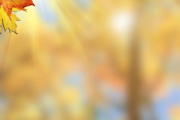 创业名称大全 年轻人创业公司名字