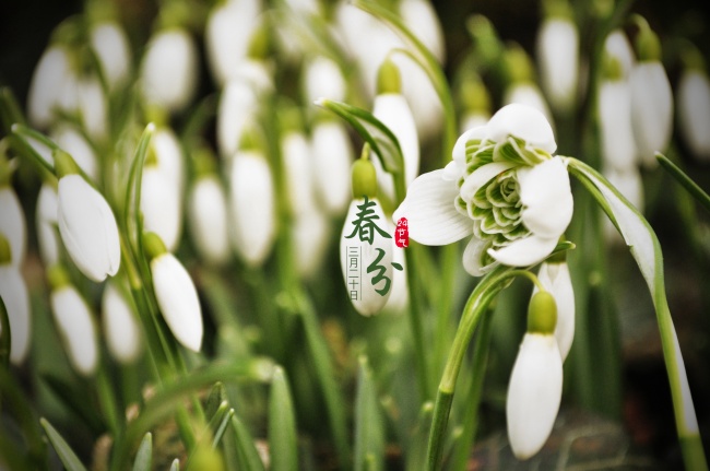 2023年2月13日是不是结婚吉日 此日婚嫁是否两姓情深燕垒仙