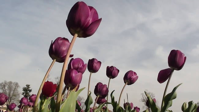 好听的服装未注册的商标名字 免费新公司取名字大全