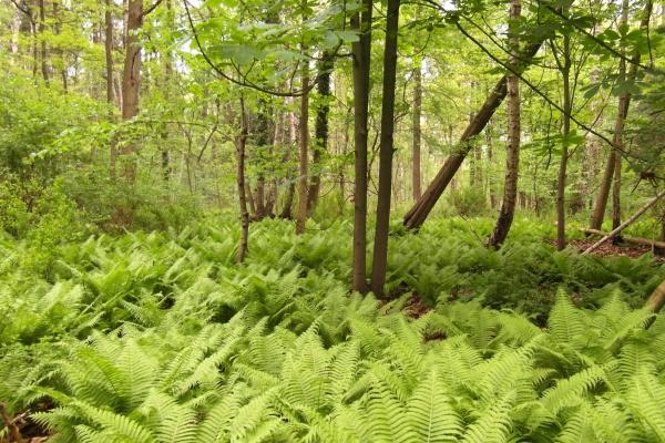 2023年正月初六搬家吉日 此日搬家则金玉满堂出黄金