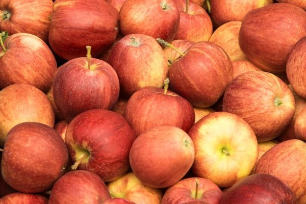 癸卯日女命丈夫特征 癸卯女命最佳婚配日柱