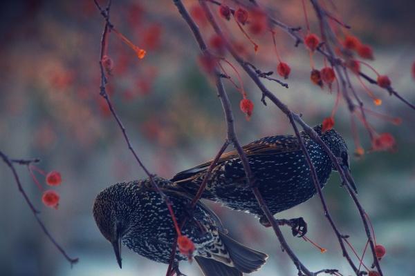 2023年正月初八搬家吉日 此日搬家能否吉星高照福满院