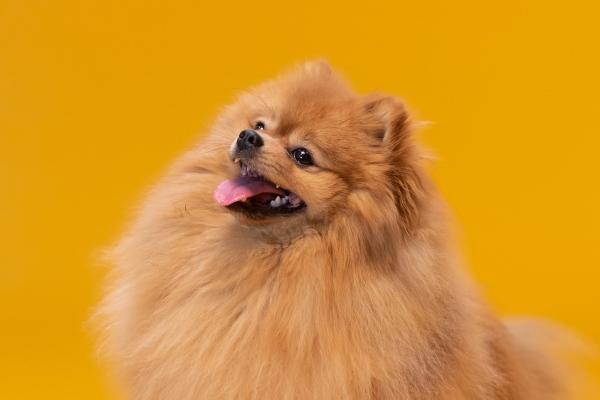 公司旺财的名字大全四个字 招财旺生意的公司名字