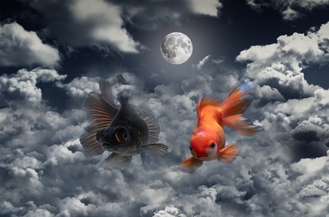 2023年1月下葬安葬择日大全 1月份宜下葬日子