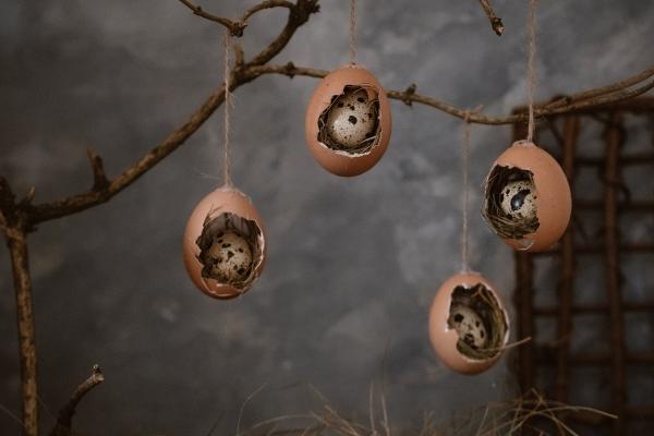 简单大气好记的公司名称 2023公司取名