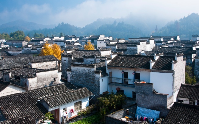 唐立淇 12星座0113日运