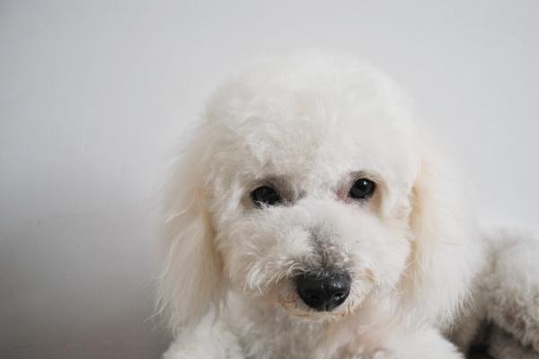 生辰八字查询:2023年农历正月二十九出生八字是什么