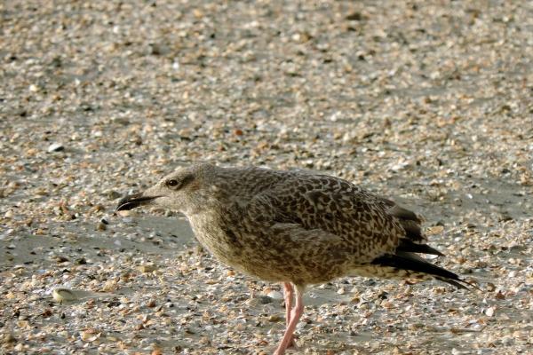 3星座下个月旧爱返还!良缘重启,爱情回归