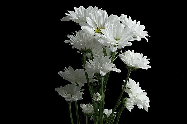 2023年正月初九开业好不好 能否万民便利百货流通