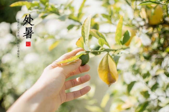 2023年正月初四开业好不好 今日开业可否待明朝大富启源