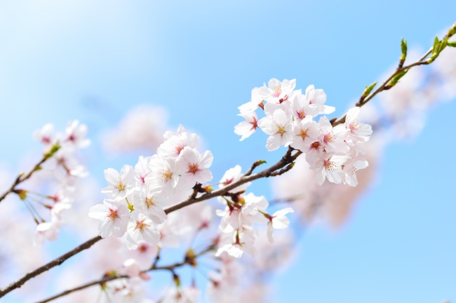 2023年2月11日适合搬新房吗 是否喜到门前清风明月