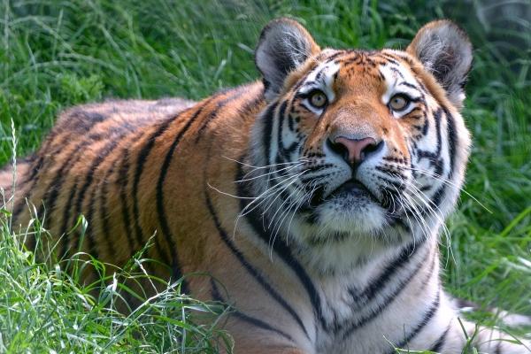 2023年2月18日适合乔迁吗 是否砌铜墙粉铁壁华居添彩