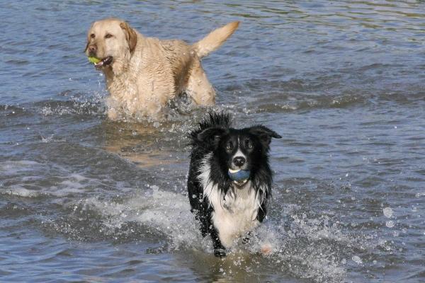 2023年天蝎座3月桃花运分析  大幅提升好运到来