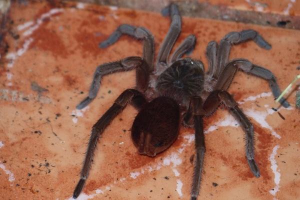 公司旺财的名字大全 好听吉祥的公司名字大全