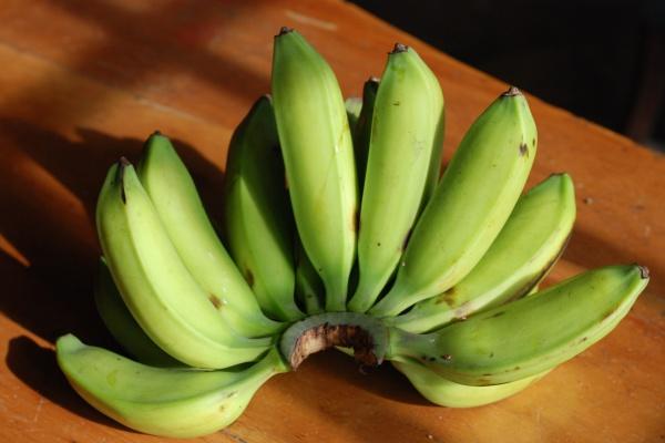 2023年处女座婚姻运3月运程详解 提升明显  　　