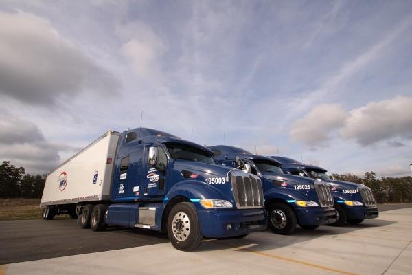 白羊座2023年2月提运指南  利用幽默致富  　　