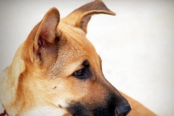 好听又聚财的公司名字大全 二个字的公司名字