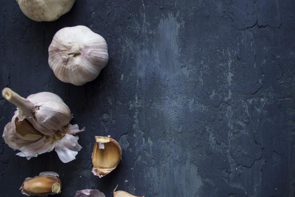 好听有财气的公司名字大全 吉祥顺利的公司名字