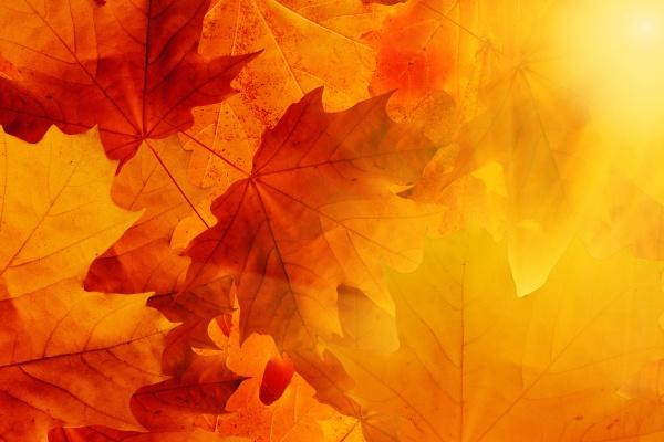 财气旺的公司名称 招财进宝的公司名字